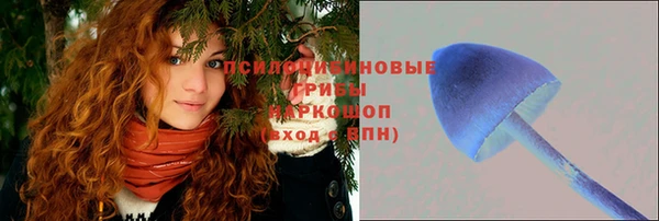 2c-b Белоозёрский