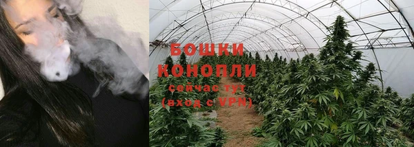 эйфоретик Белокуриха