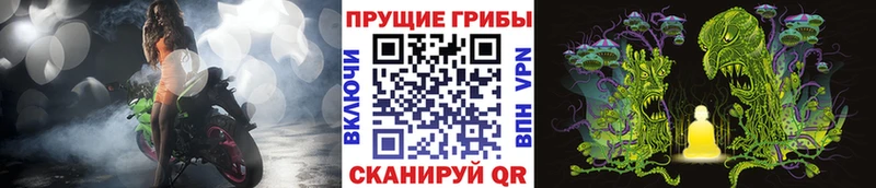 Псилоцибиновые грибы Cubensis  Реутов 