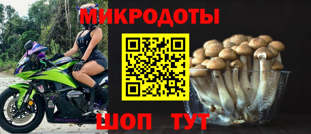 Галлюциногенные грибы мухоморы Реутов